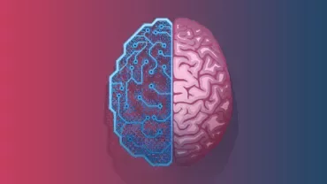 Illustration of a brain divided into two halves, one digital, one organic.
