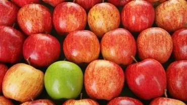 Un groupe de pommes rouges avec une pomme verte parmi elles.