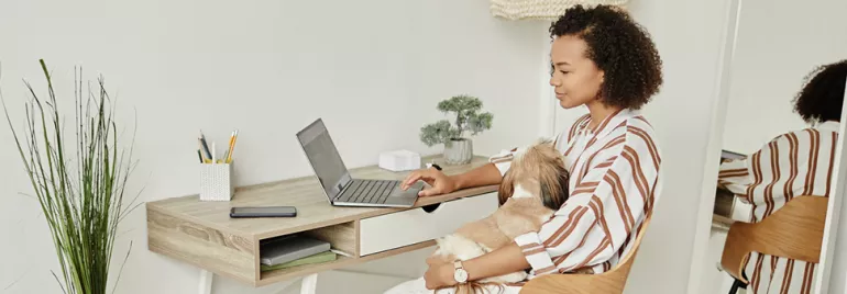 Person working on laptop at desk with dog on lap.