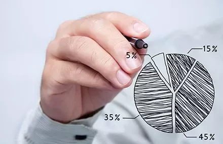 Hand drawing pie chart with percentages.